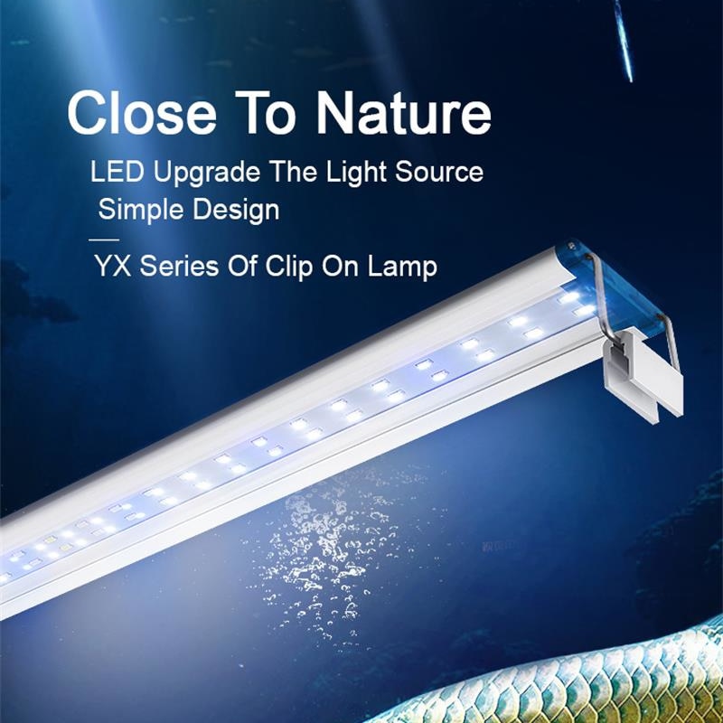 Lampu tanaman air LED Super ti - Aquarium Plant Iron ulasan dan harga