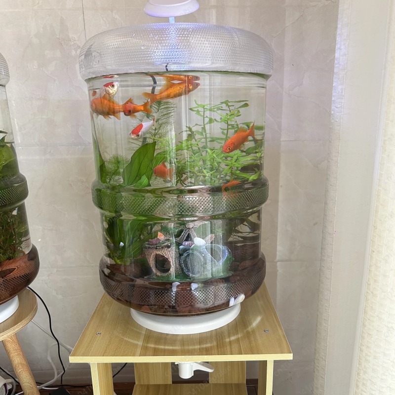 Akuarium Plastik Kreatif Bentu - Aquarium Planted Setup ulasan dan harga